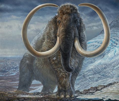 Retracing the Astonishing Lifetime Journey of an 17,000-Year-Old Arctic Woolly Mammoth