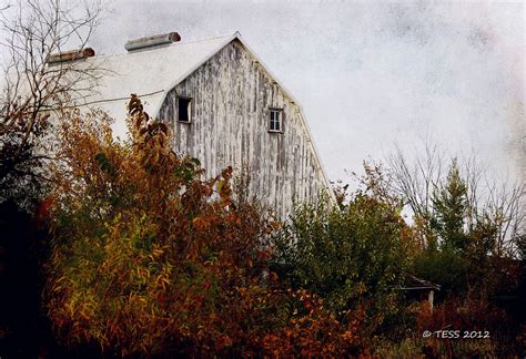 Autumn Barn Photo Iowa Barns Old Barn Photo by PhotographybyTess