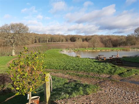 English Vineyards | Wine of England