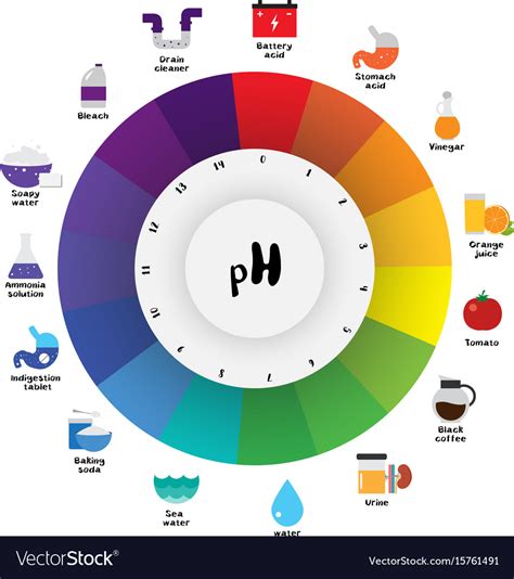 Ph scale universal indicator ph color chart Vector Image