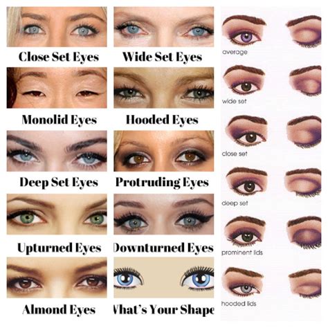 You: which eye shape is mine? | Makeup for downturned eyes, Eye shape ...