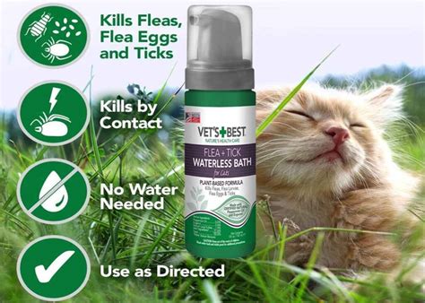 Best Flea Shampoo for Cats & Kitties Reviewed - Buying Guide