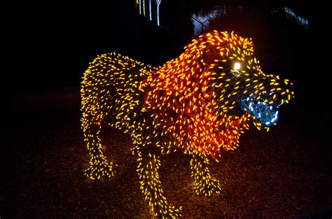 ZooLights at the Phoenix Zoo - Top Places to See in Arizona