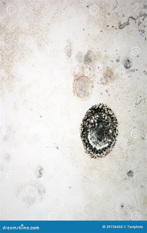 Mildew on wall stock image. Image of grungy, damage, abstract - 29726433