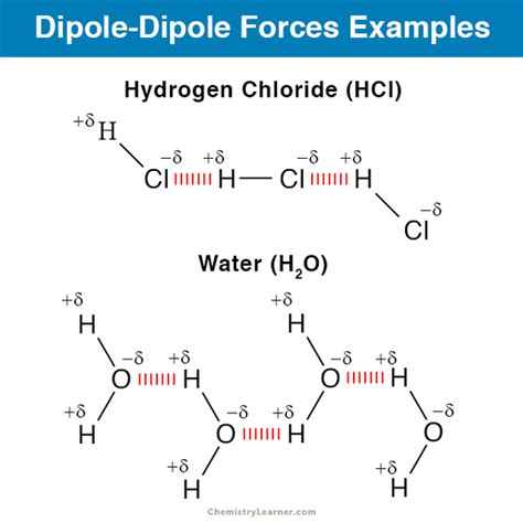 Ion Dipole Examples Of Molecules