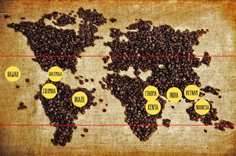 Where Do Coffee Beans Grow? | Alliance Coffee Singapore