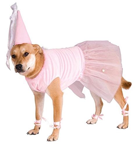 10 Best Dog Clothes for Large Dogs Because They Deserve to Dress Up, Too | The Dog People by ...