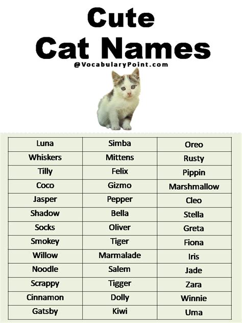 500+ Most Popular Cat Names in English | Cat names, Most popular cat names, Cute cat names