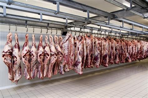 Slaughtering & Meat Processing – EcoTec-Me