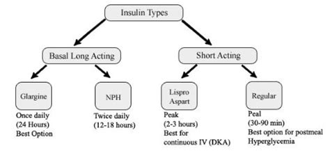 MBBS Medicine (Humanity First): Insulin therapy and its types