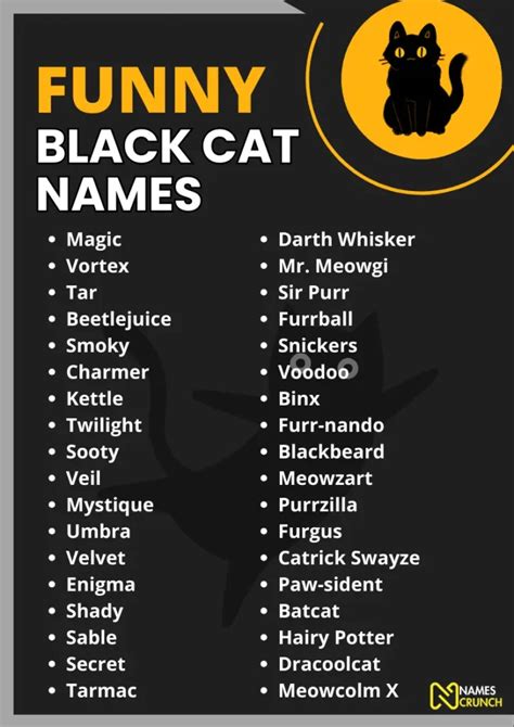 420+ Funny Black Cat Names [Clever Ideas] - Names Crunch