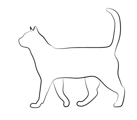 cat-1583459 – Graphically Speaking