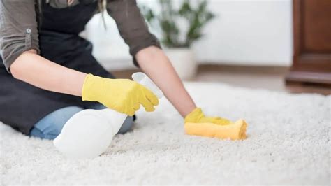 Best Carpet Cleaner Products Australia [Top 7 For 2024]