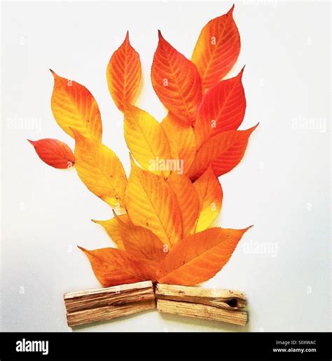 Bonfire made with Autumn leaves Stock Photo - Alamy