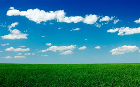 Grass and Sky Wallpaper (71+ images)