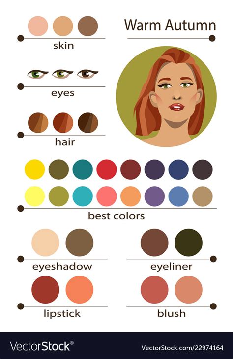 Seasonal color analysis palette for warm autumn Vector Image