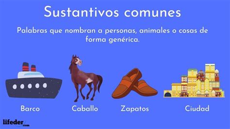 Sustantivos comunes: definición, tipos y ejemplos