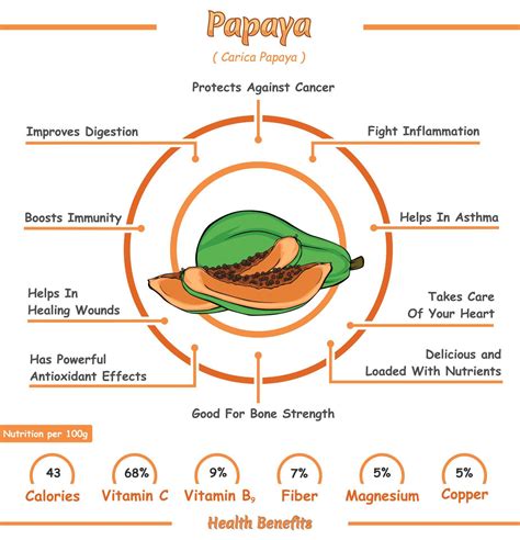 Health benefits of a papaya 18892189 Vector Art at Vecteezy