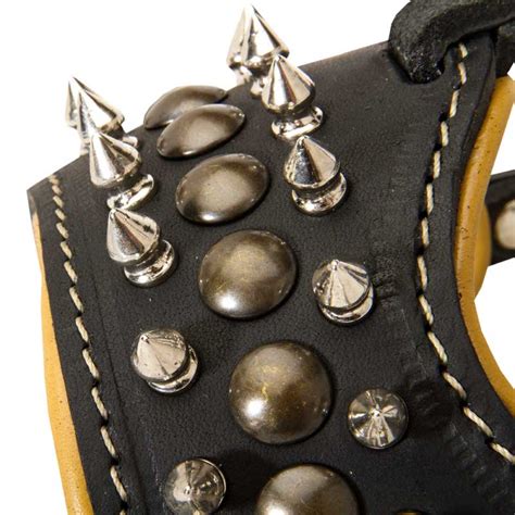 Royal Spiked and Studded Leather English Bulldog Muzzle [M61##1131 Leather Muzzle with Spikes ...