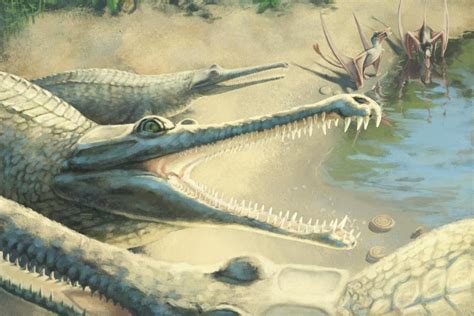 Jurassic crocodile species identified 250 years after fossil discovery - UPI.com