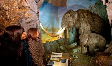 National Museum Cardiff • World class art and natural history • Visit Cardiff