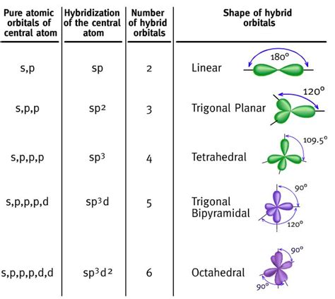 hybrid orbitals infographic. Linus Pauling's explanation of bonding mechanisms. | Teaching ...