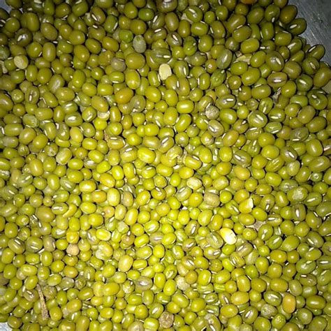 Jual Kacang Hijau Ijo mentah kering | Shopee Indonesia