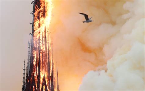 Notre-Dame Cathedral fire: Photos show the damage inside - Business Insider