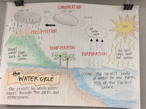 Water Cycle Diagram 7th Grade