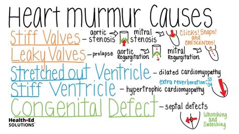 Most Common Heart Murmur In Elderly - BEST HOME DESIGN IDEAS