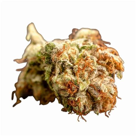 Zaza Strain: Effects, Reviews, & More - Hail Mary Jane