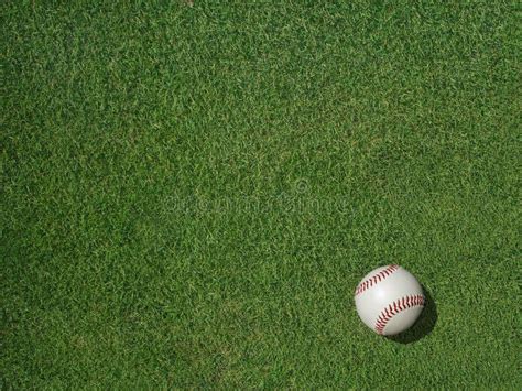 Baseball on Sports Turf Grass Stock Image - Image of white, sport: 48115849