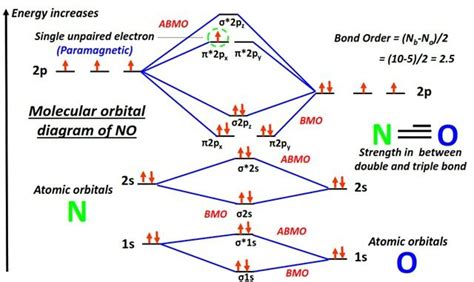 Molecular Orbital Diagram for NO, NO+, NO-