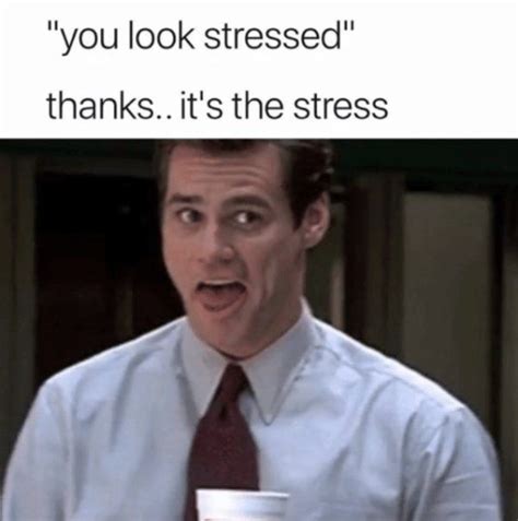 Stressed Meme Template