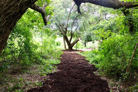 The 11 Best Hiking Spots in Louisiana | Hiking spots, Best hikes ...