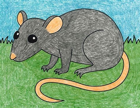 Easy How To Draw A Rat Tutorial And Rat Coloring Page