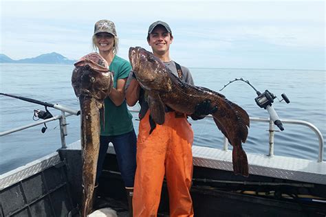 Ling Cod Fishing in Alaska | Saltwater Ling Fish Homer & Seward