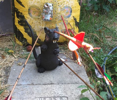 Giant rubber rat from the craft store makes a great target. Inside is foam rubber. : r/Archery