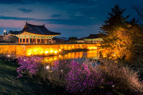 Gyeongju Pictures | Download Free Images on Unsplash