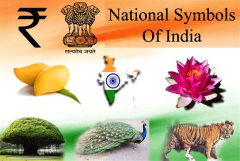 National Symbols Of India | RitiRiwaz