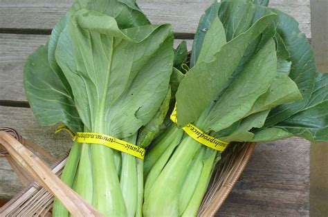 Savory Baby Bok Choy | Recipes from Nash's Organic Produce