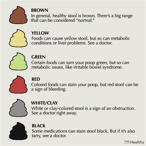 Possible Causes Of Light Colored Stool | Americanwarmoms.org