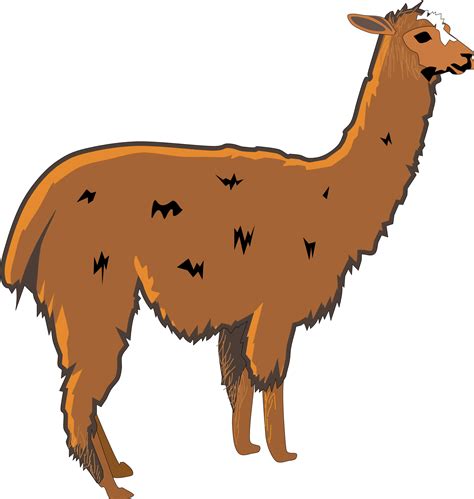 Baby Llama Clipart | Free download on ClipArtMag