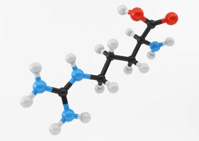 arginine molecule structure 3d model