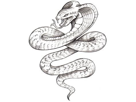 Evil Snake Drawing at GetDrawings | Free download