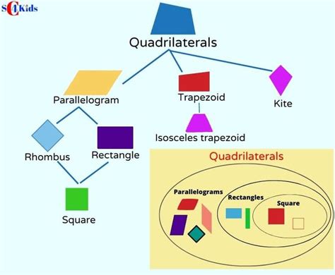 Identifying Quadrilaterals | Quadrilaterals, Quadrilateral shapes ...