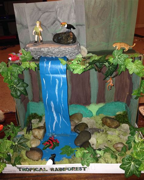 Image result for Shoe Box Rainforest | Diorama kids, Rainforest project ...