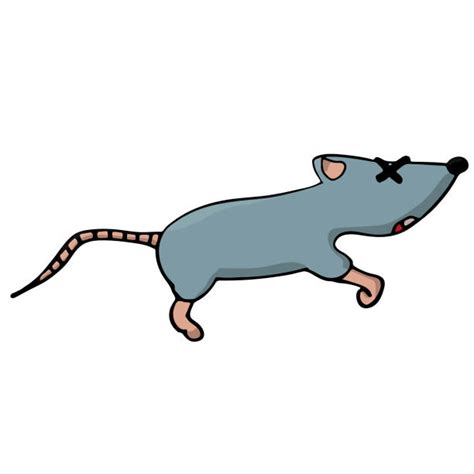 Cartoon Of Dead Mouse Illustrations, Royalty-Free Vector Graphics & Clip Art - iStock