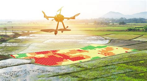 How Are Drones Being Used in Agriculture? - Pilot Institute