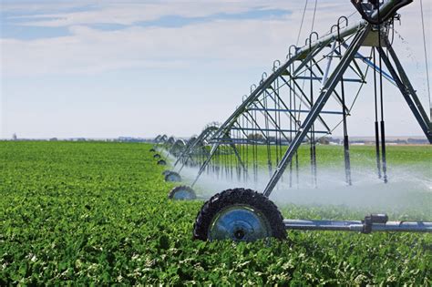 A Comprehensive Guide To Center Pivot Irrigation - Iamtreatmentalliance